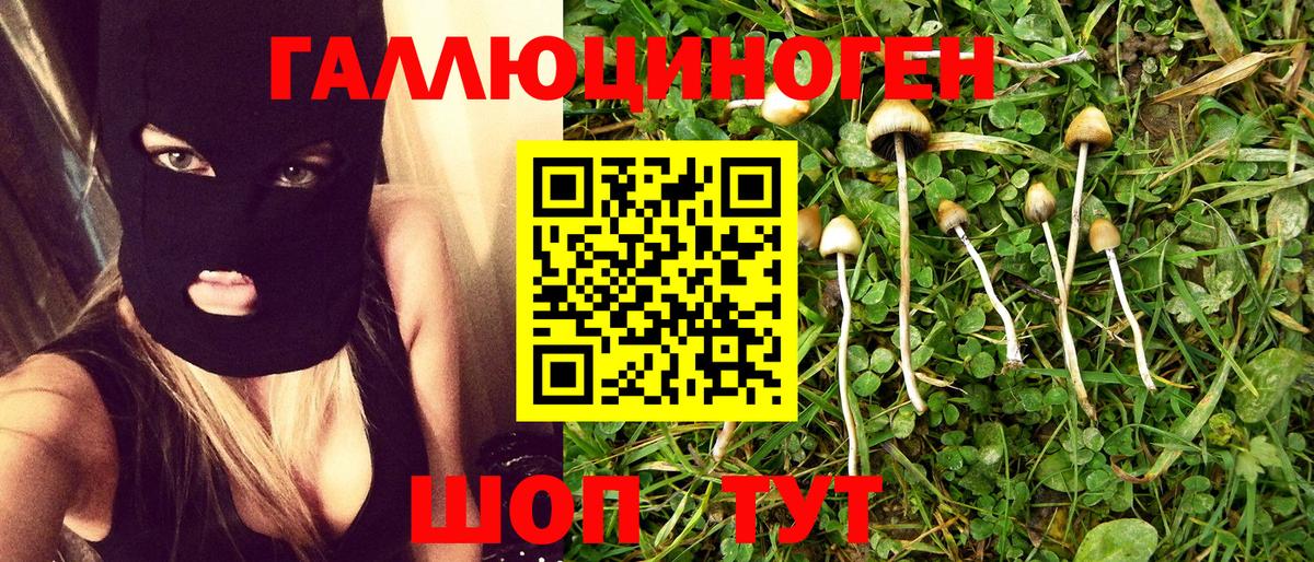 Черногорск  Псилоцибиновые грибы мицелий  Вход с VPN 